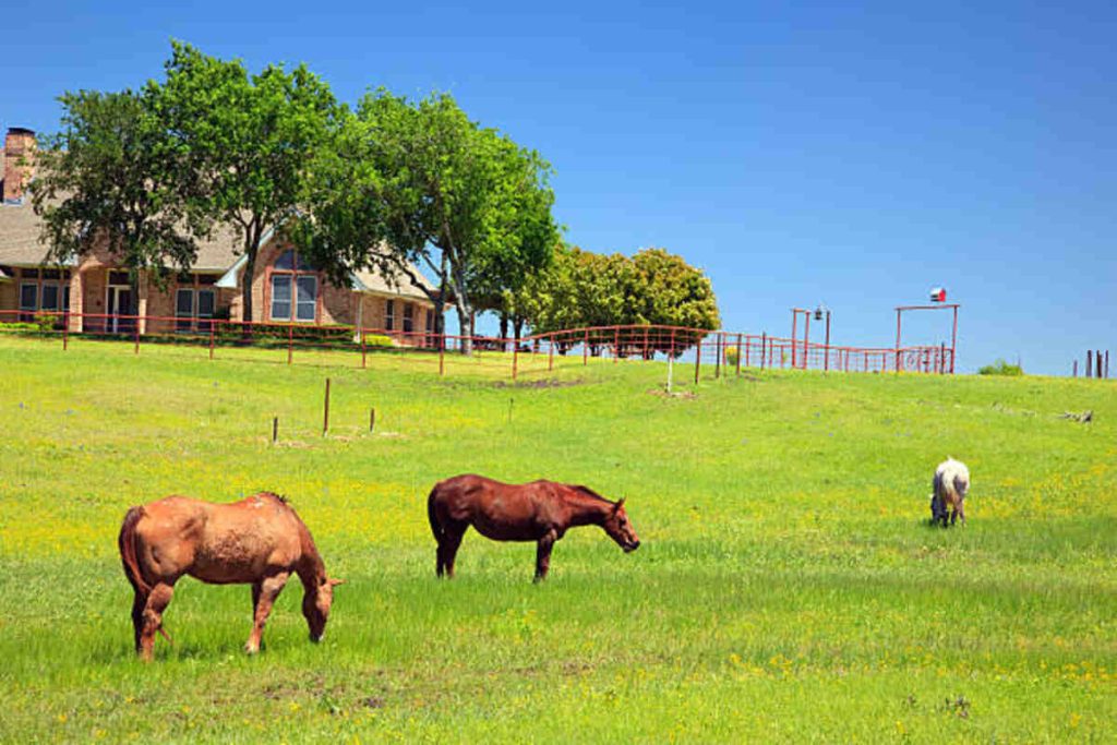 Ranches for Sale