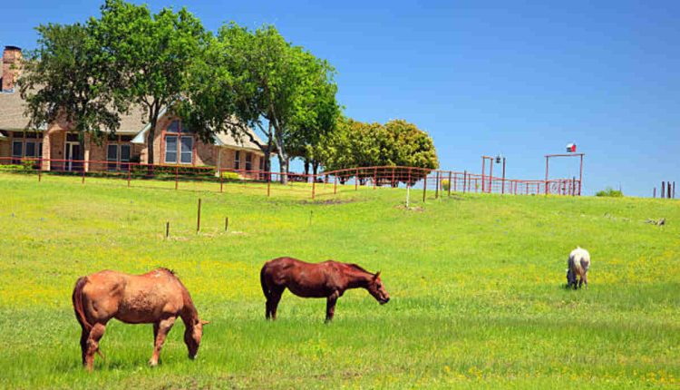 Ranches for Sale