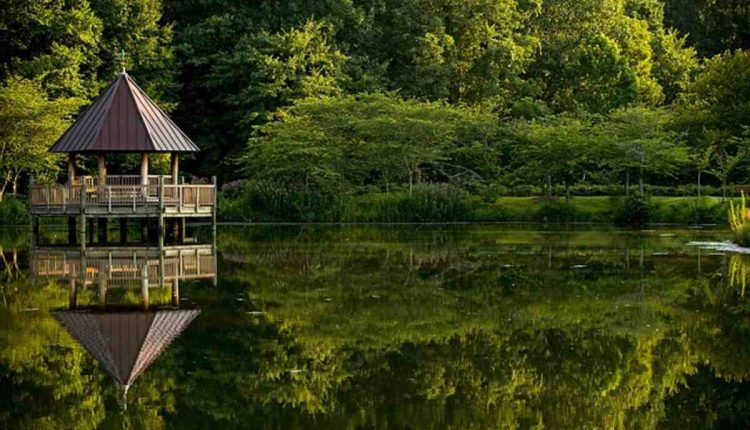outdoor gazebos