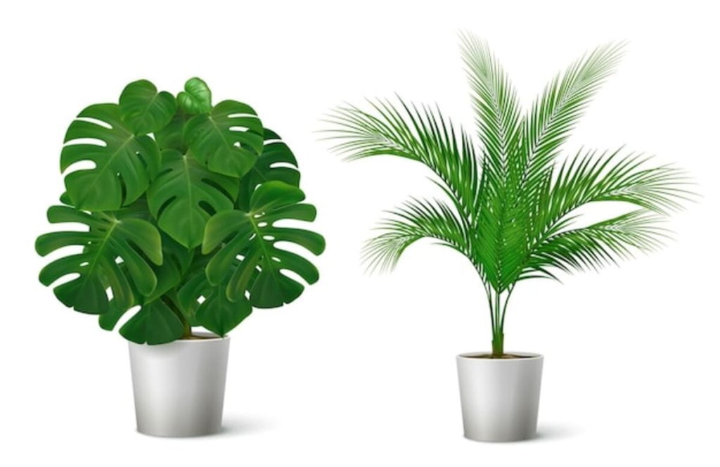 Artificial plants