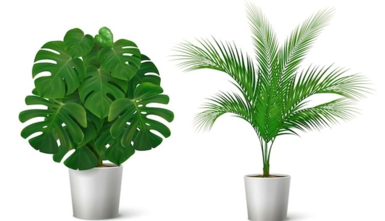 Artificial plants
