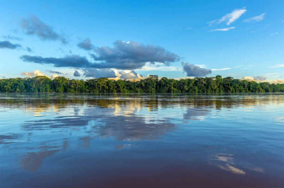 Eedr River - A winding blue river surrounded by lush greenery