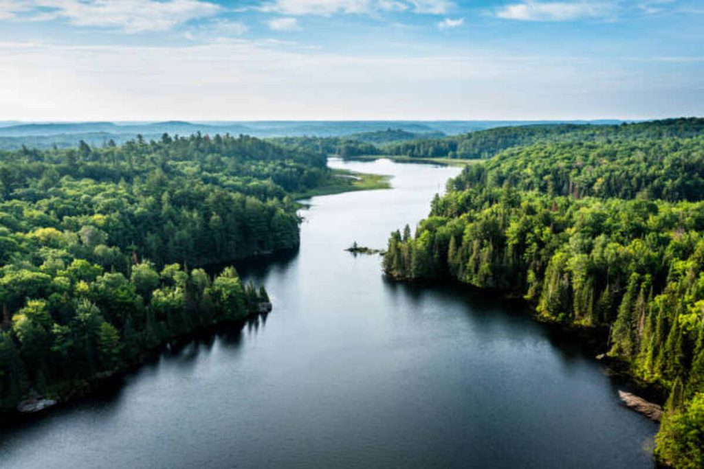 Eedr River - A winding blue river surrounded by lush greenery