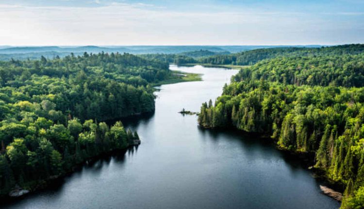 Eedr River - A winding blue river surrounded by lush greenery
