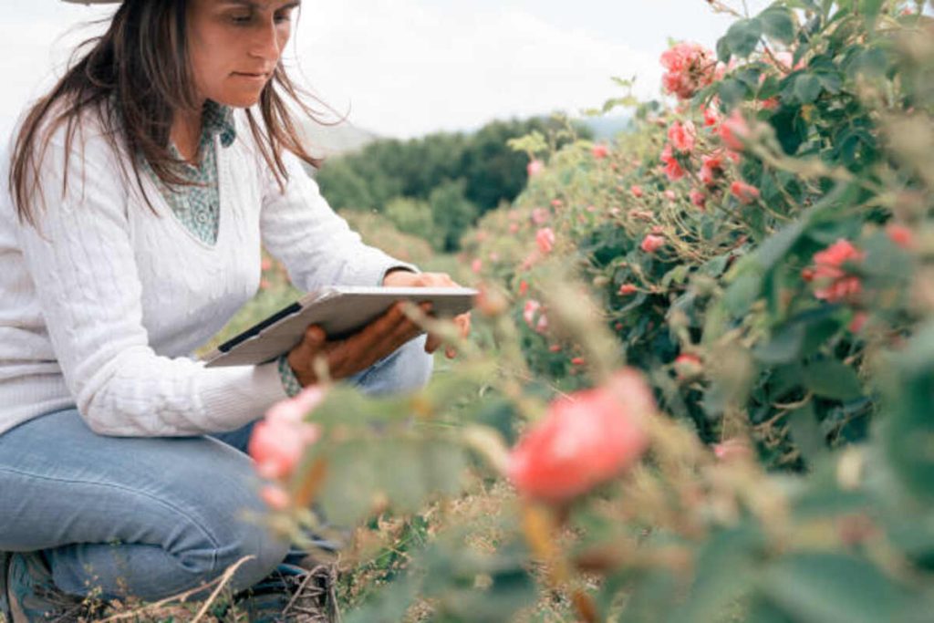 Read Solo Farming in the Tower Chapter 37 Online