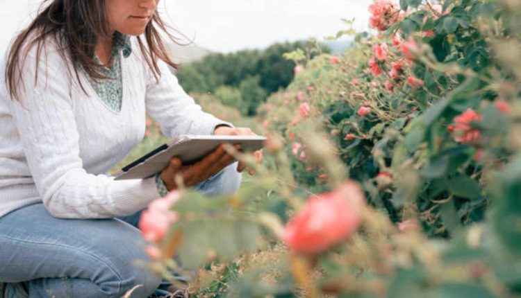 Read Solo Farming in the Tower Chapter 37 Online