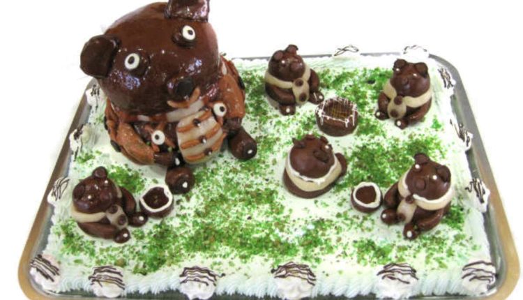 Mouth of a Bear Cake Pop