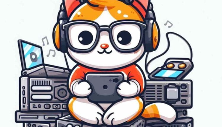 Best cat shaped pillow