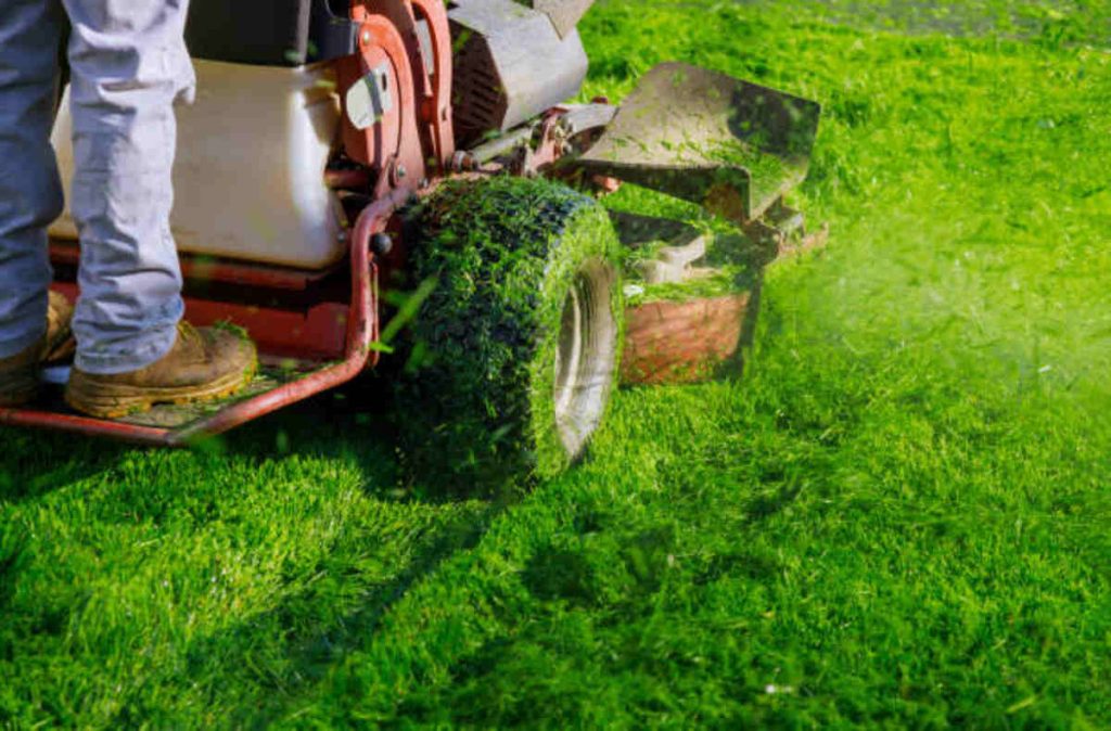 Brothers Lawn Service & Landscaping