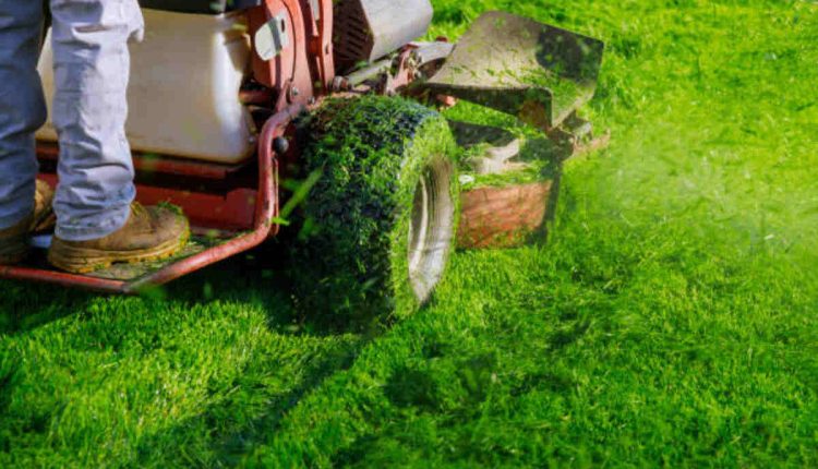 Brothers Lawn Service & Landscaping