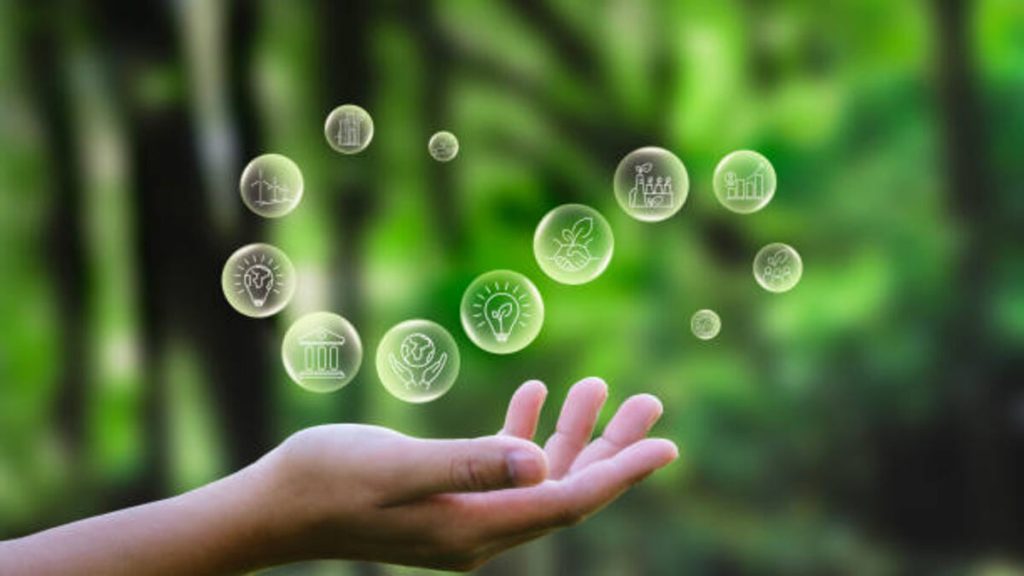 Corporate governance for sustainability