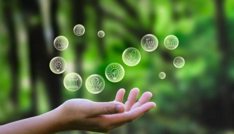 Corporate governance for sustainability
