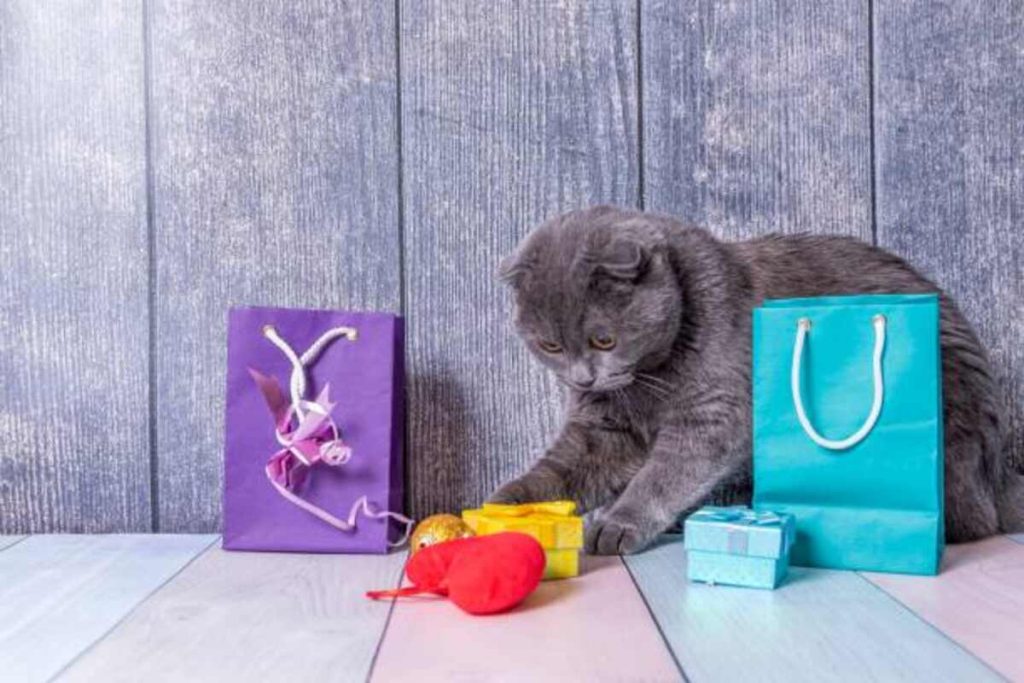 cat themed gifts