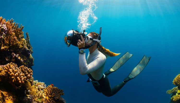 Open Water Diver course