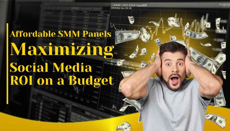 SMM Panel Services