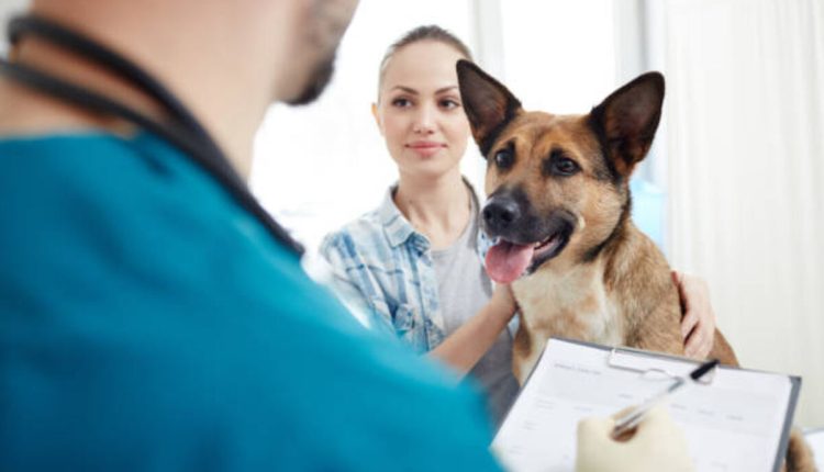 Pet insurance