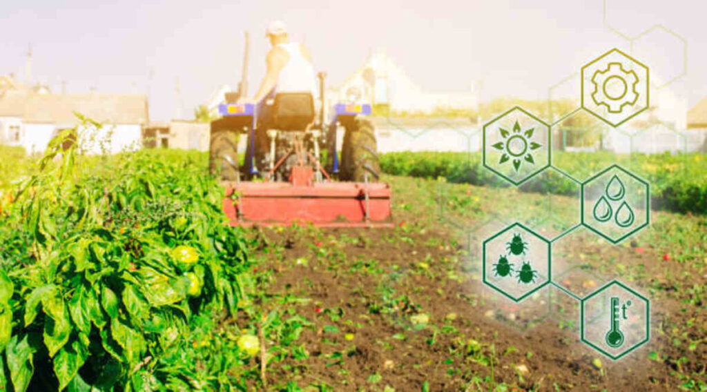 Biochar A Solution for Climate-Smart Harvesting