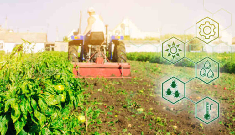 Biochar A Solution for Climate-Smart Harvesting
