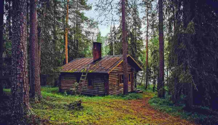 Glulam Log Cabins and Homes