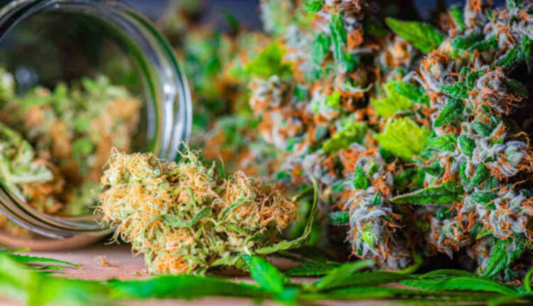 Going through the Best Philly Dispensaries Right now