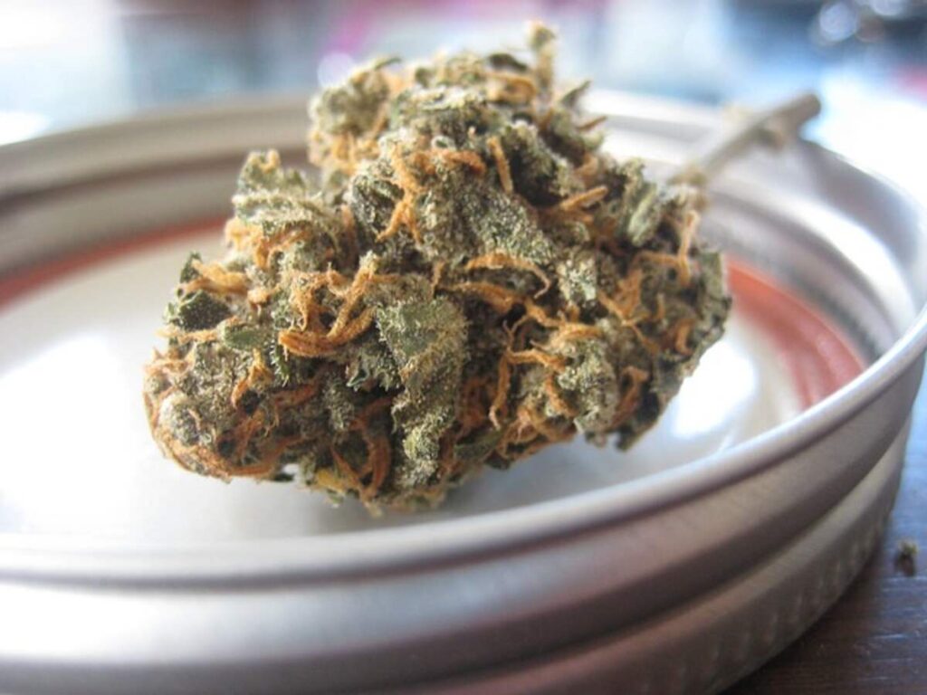 THCA Flower Bulk