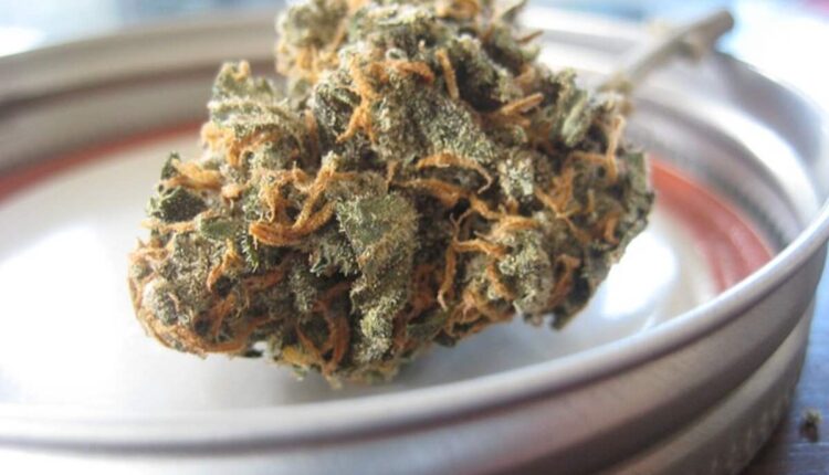 THCA Flower Bulk