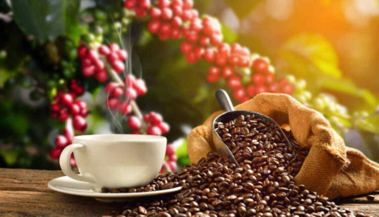 Human bean coffee Incredible 7
