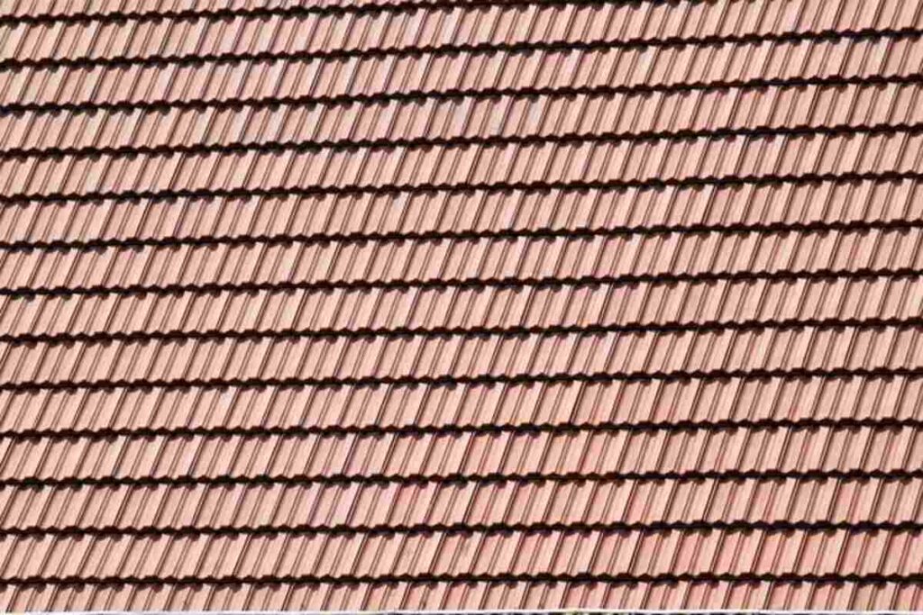 Understanding Membrane Structure and Function