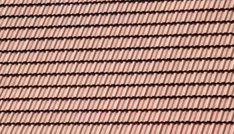 Understanding Membrane Structure and Function