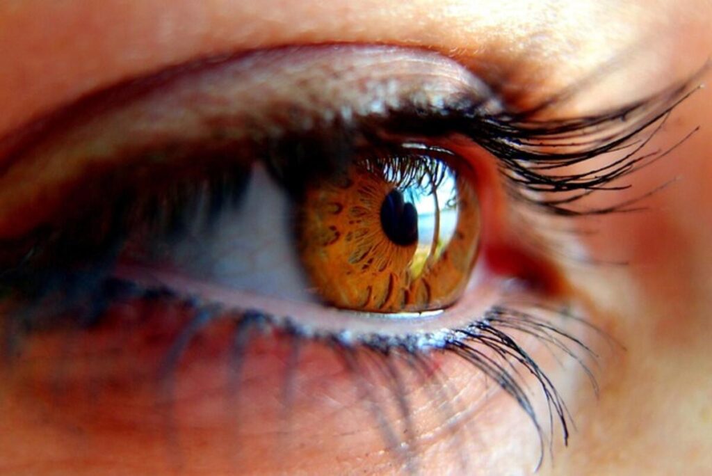 eyelash extensions